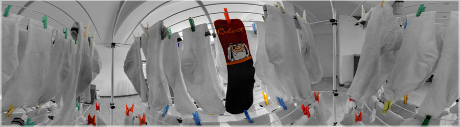 Les chaussettes de Robert Une vision indite en plein milieu du schoir linge, entoure par des chaussettes, dont celles de Robert ! www.360x180.fr Selme Matthieu